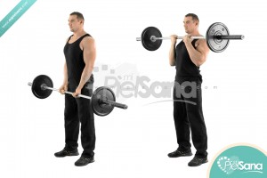 Close Grip Standing Barbell Curl
