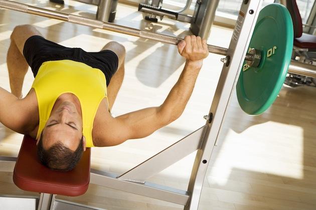 Catabolismo Muscular