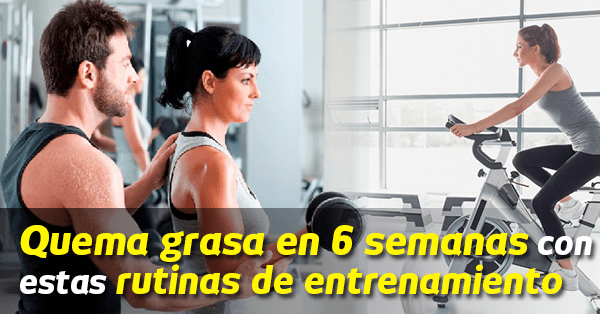 Rutina Quema Grasas Gym