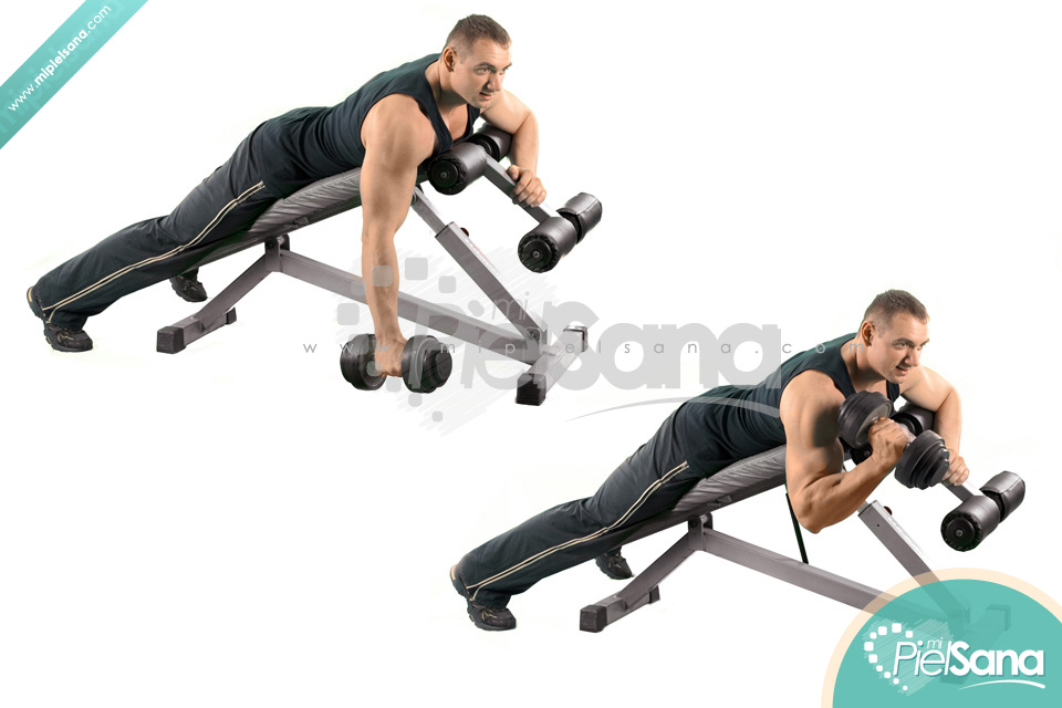 One Arm Prone Hammer Dumbbell Curl