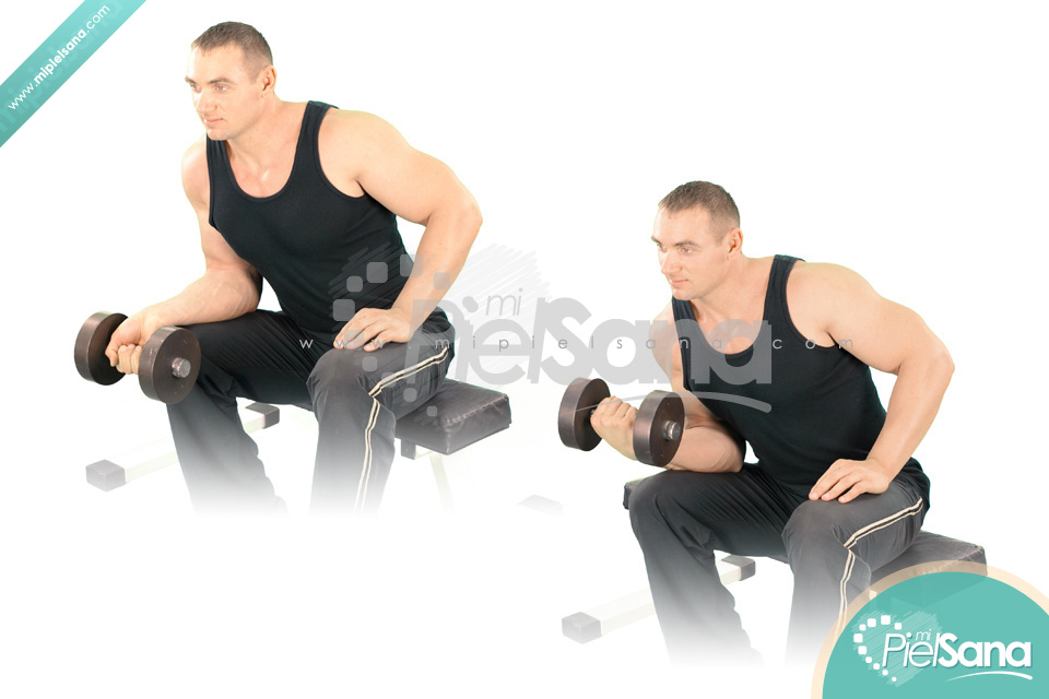 One Arm Seated Dumbbell Wrist Curl
