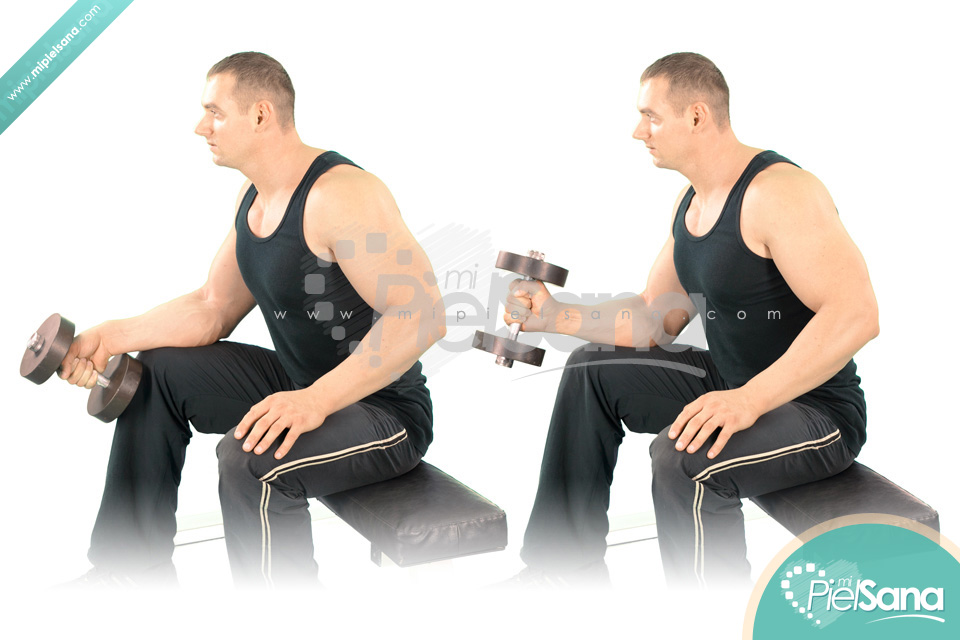 One Arm Seated Neutral Dumbbell Wrist Curl