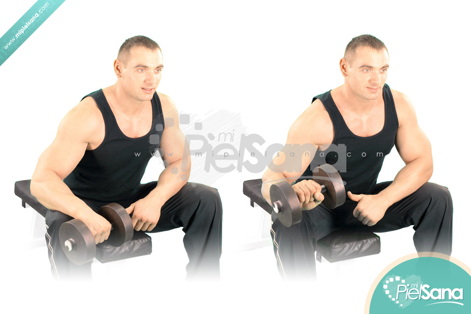 One Arm Seated Reverse Dumbbell Wrist Curl
