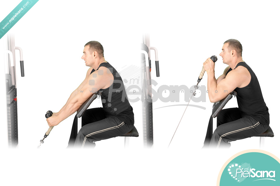 Rope Cable Preacher Curl