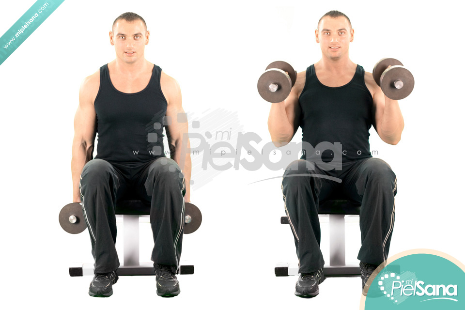 Seated Hammer Curl