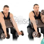 Curl alterno en banco Scott con mancuernas (Alternate Dumbbell Preacher Curl)