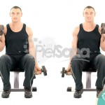 Curl alterno sentado con mancuernas (Alternate Seated Dumbbell Curl)