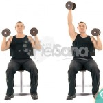 Press de hombro alterno sentado con agarre neutro (Alternate Seated Palms In Dumbbell Press)