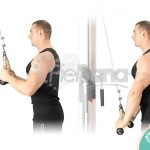 Extensión de tríceps en polea con cuerda (Cable Tricep Extension With Rope)