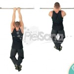 Dominadas con agarre cerrado (Close Grip Pull Up)