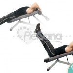 Elevación de piernas en banco declinado (Decline Bench Leg Raise)