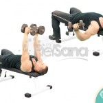 Aperturas con mancuernas o Dumbbell Flys
