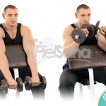 Curl inverso en banco Scott (Reverse Preacher Curl)