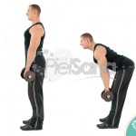 Peso muerto con piernas rígidas con mancuernas (Dumbbell Stiff Leg Deadlift)