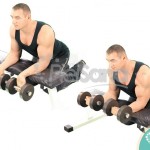 Curl de muñeca con mancuerna sobre banco (Dumbbell Wrist Curl Over Bench)