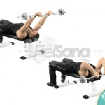 Extensión de tríceps acostado detrás de la cabeza con barra EZ (EZ Bar Back Of The Head Lying Tricep Extension)