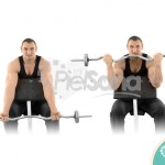 Bíceps en banco scott o EZ Bar Preacher Curl