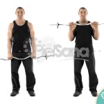 Curl invertido con barra EZ (EZ Bar Reverse Grip Barbell Curl)