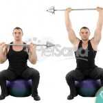 Press de hombro con barra sentado en fitball (Exercise Ball Barbell Press)