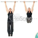 Elevación de piernas colgado (Hanging Leg Raise)