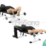 Extensión de tríceps acostado con agarre supino (Lying Barbell Reverse Extension)