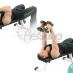 Extensión de tríceps acostado con mancuernas (Lying Dumbbell Extension)