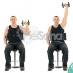 Press de hombro sentado con mancuerna a una mano (One Arm Seated Dumbbell Press)