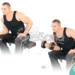 Curl de muñeca sentado con mancuerna a una mano (One Arm Seated Dumbbell Wrist Curl)