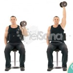Press de hombro sentado a una mano con agarre neutro (One Arm Seated Palms In Dumbbell Press)
