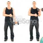 Curl de bíceps de pie con mancuerna a una mano (One Arm Standing Dumbbell Curl)
