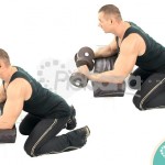 Extensión de muñeca con mancuernas sobre banco (Reverse Dumbbell Wrist Curl Over Bench)