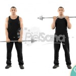 Curl inverso con barra (Reverse Grip Barbell Curl)