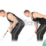 Patada de tríceps en polea con agarre supino (Reverse Grip Cable Tricep Kickback)