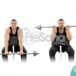 Curl invertido en banco Scott (Reverse Grip Preacher Curl)