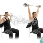Press tras nuca con barra sentado (Seated Barbell Press Behind Neck)