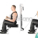 Curl de bíceps sentado en polea (Seated Cable Curl)