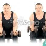 Curl de muñeca con mancuernas sentado (Seated Dumbbell Wrist Curl)
