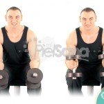 Curl de muñeca con agarre neutro y mancuernas sentado (Seated Neutral Dumbbell Wrist Curl)
