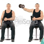 Elevación lateral a una mano con mancuerna sentado (Seated One Arm Dumbbell Lateral Raise)