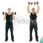 Press Arnold de pie (Standing Arnold Press)