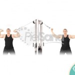 Curl de bíceps en polea alta de pie (Standing High Pulley Cable Curl)