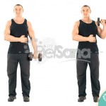 Curl inverso a una mano con mancuerna de pie (Standing One Arm Dumbbell Reverse Curl)
