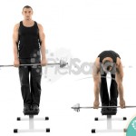Peso muerto con piernas rígidas sobre banco (Stiff Leg Deadlift On Bench)
