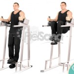 Elevación de rodillas en silla romana con peso (Weighted Chair Knee Raise)