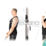 Curl de bíceps en polea con agarre ancho: técnica