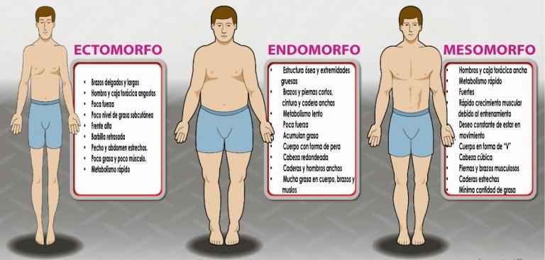 Somatotipo: cómo identificar tu tipo de cuerpo y qué dice la ciencia