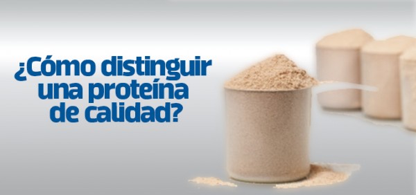 Cuantos Gramos De Proteina Echar Al Batido