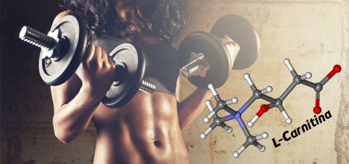 L-Carnitina: beneficios, cmo tomarla y cules son sus efectos secundarios L-Carnitina: beneficios, cmo tomarla y cules son sus efectos secundarios
