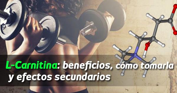l carnitina beneficios y efectos secundarios L-Carnitina: beneficios, cómo tomarla y cuáles son sus efectos secundarios