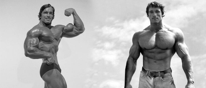 Dieta De Volumen De Arnold Schwarzenegger